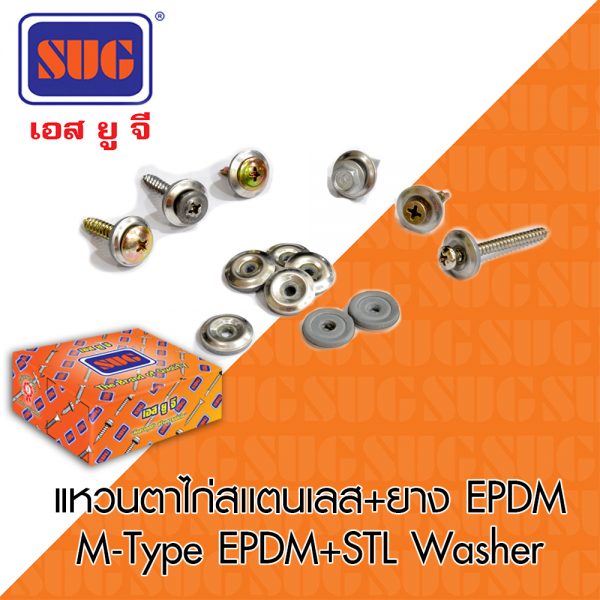 แหวนตาไก่สเเตนเลส+ยาง EPDM / M-Type EPDM+STL Washer